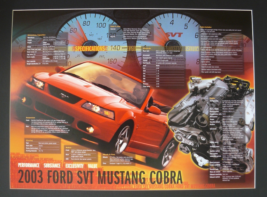 Mustang Terminator Poster